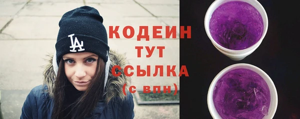 гашик Сатка