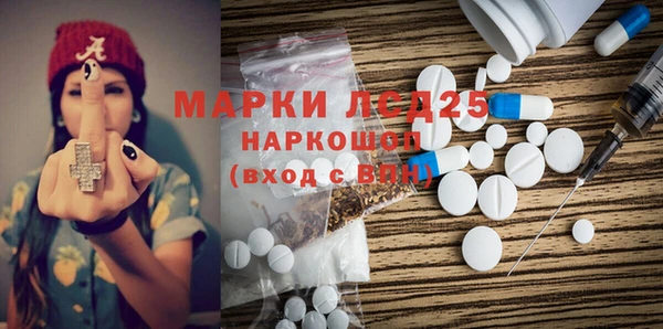 гашик Сатка