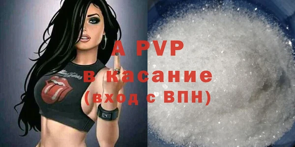 гашик Сатка